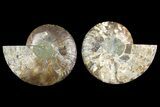 Agate Replaced Ammonite Fossil - Crystal Pockets #158308-1